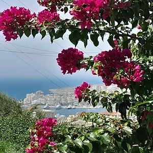 https://luxury-dennis-home.albaniahotels.org